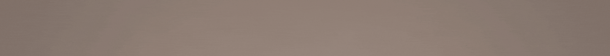 Elections 2026 Banner